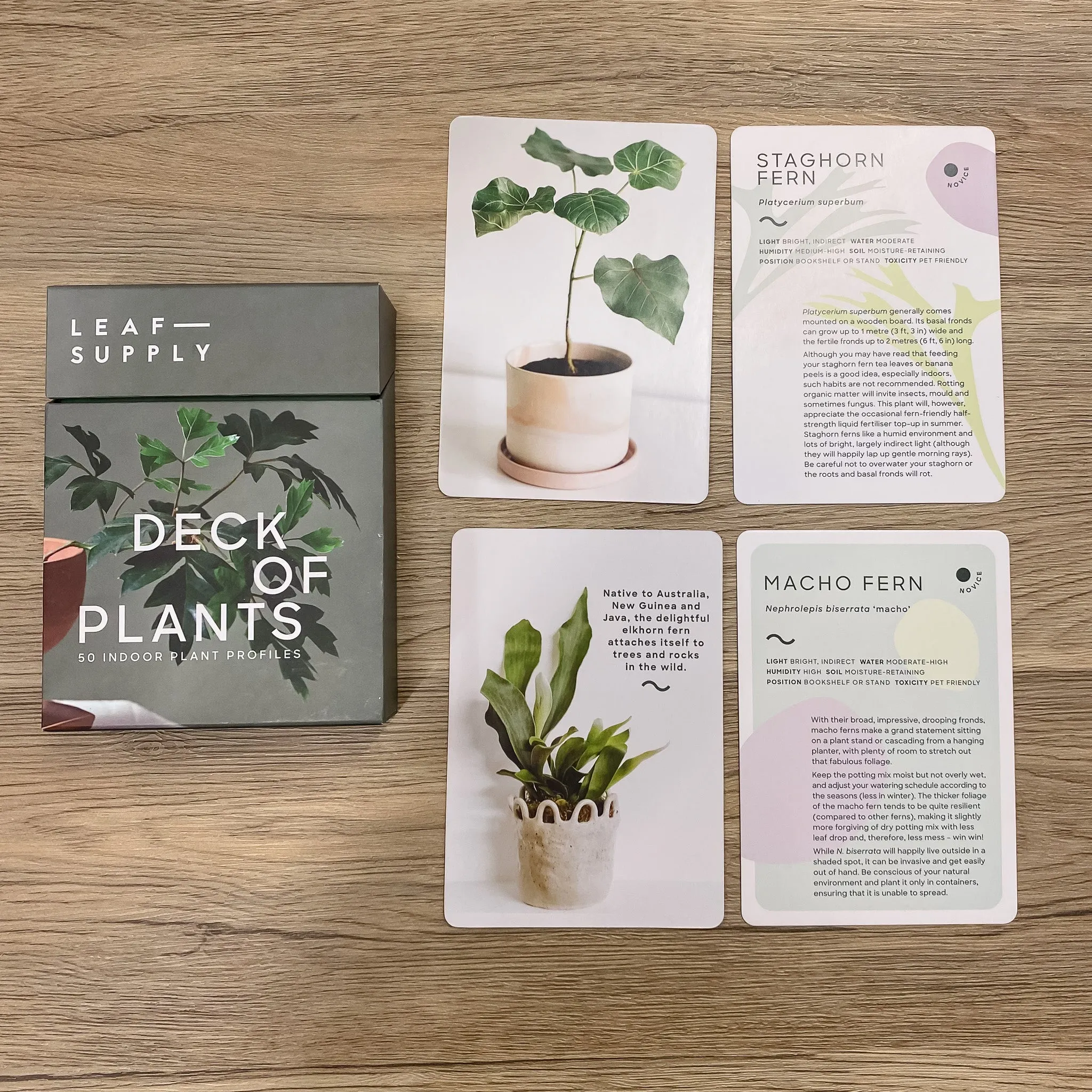 Leaf Supply Deck of Plants: 50 Indoor Plant Profiles