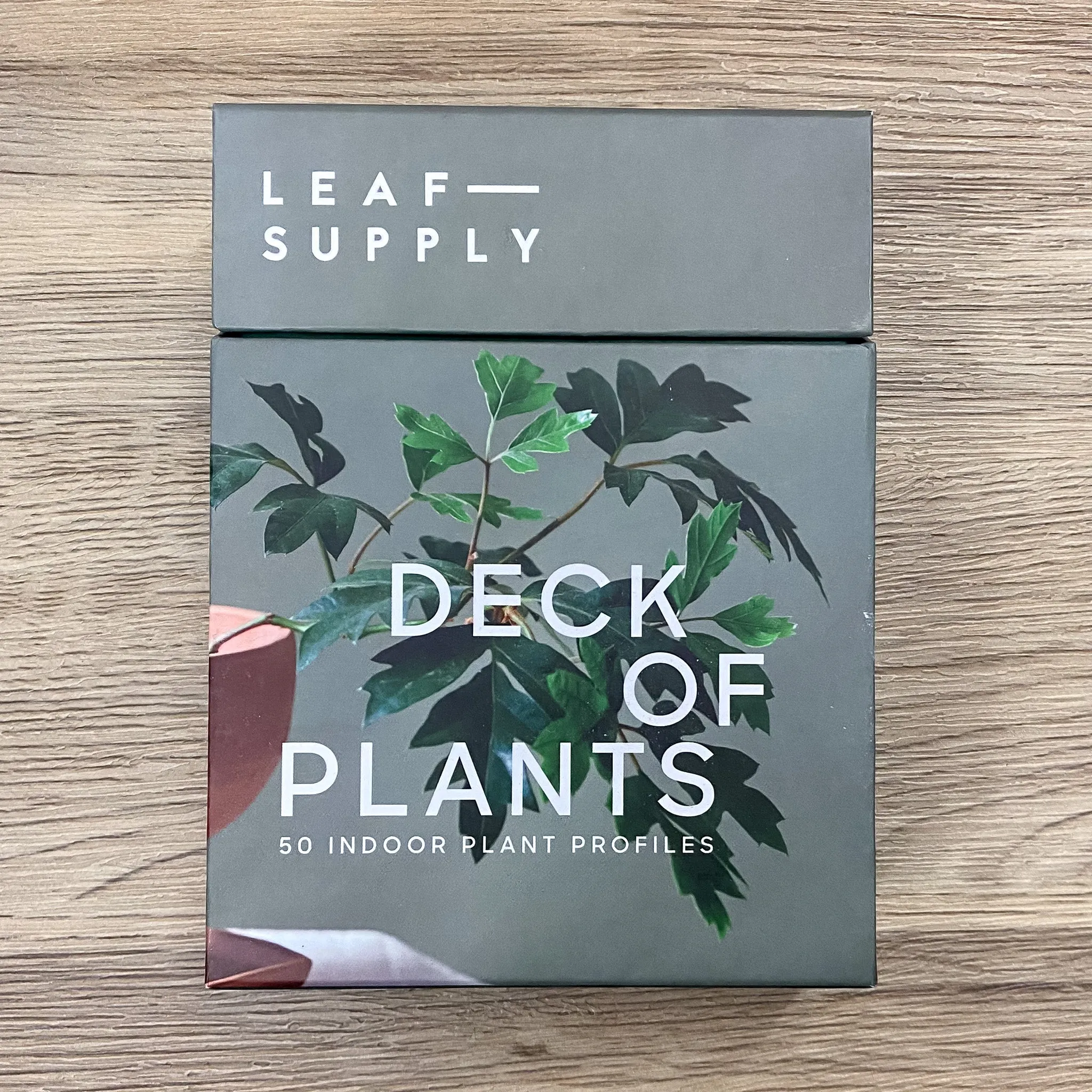 Leaf Supply Deck of Plants: 50 Indoor Plant Profiles