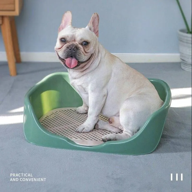 Portable Training Litter Box