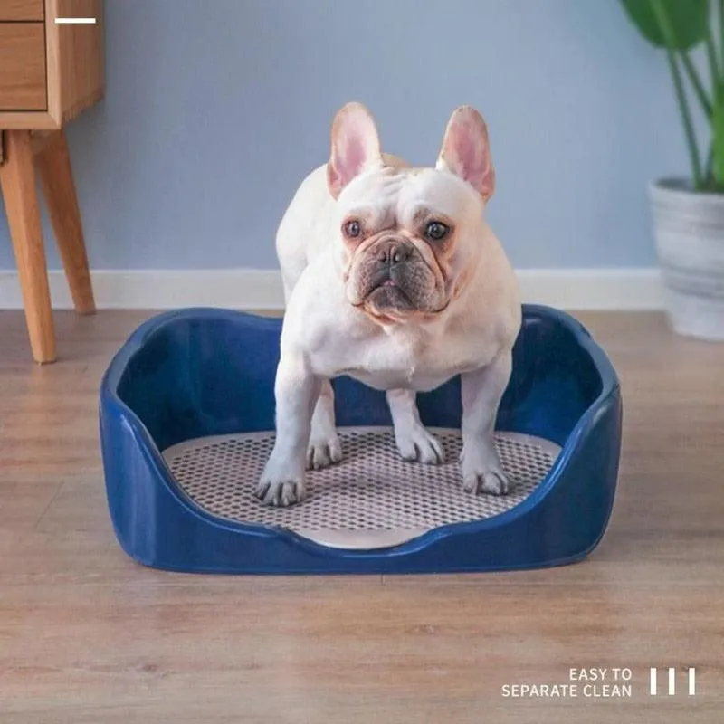 Portable Training Litter Box