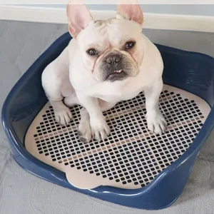 Portable Training Litter Box