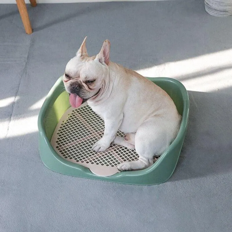 Portable Training Litter Box